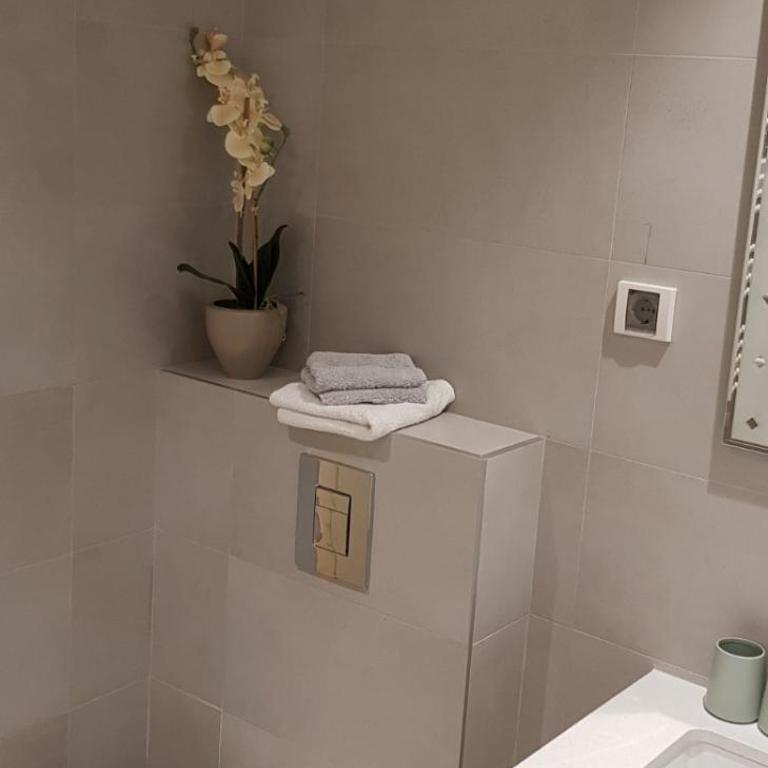 KAMIN BEOGRAD NA VODI apartman - Apartman sa 1 Spavaćom Sobom - 4