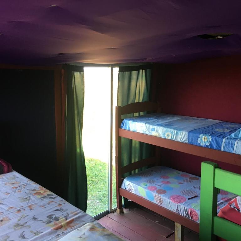 Green House Hostel - Single Bed in 6-Bed Dormitory Room - 4