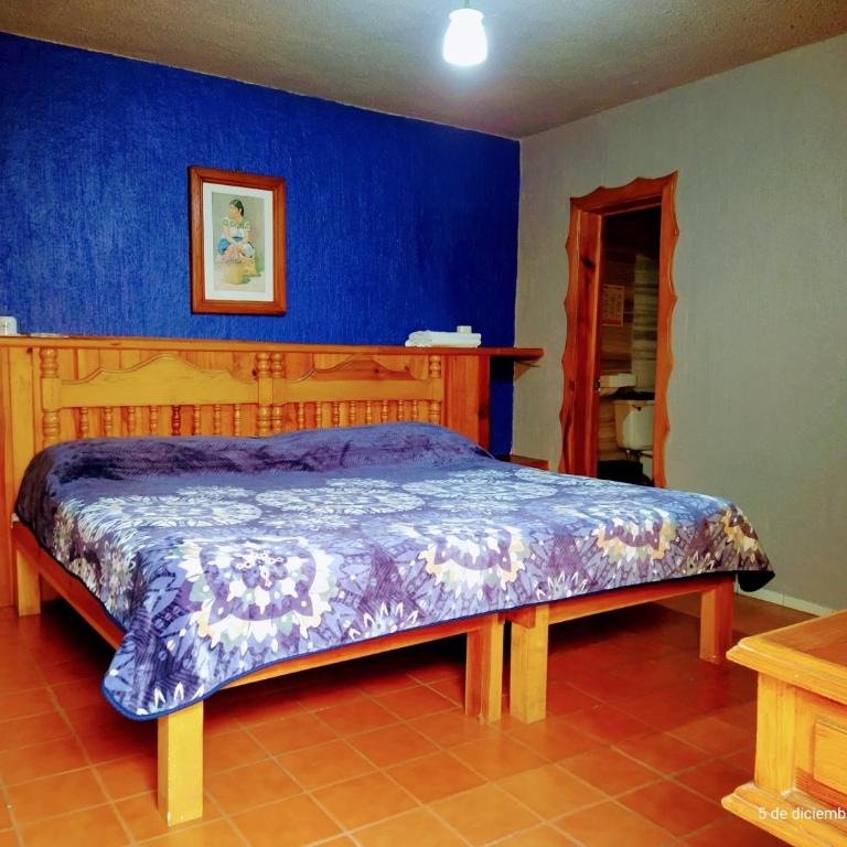 Hotel Plaza Mazamitla - Habitación Doble - 1
