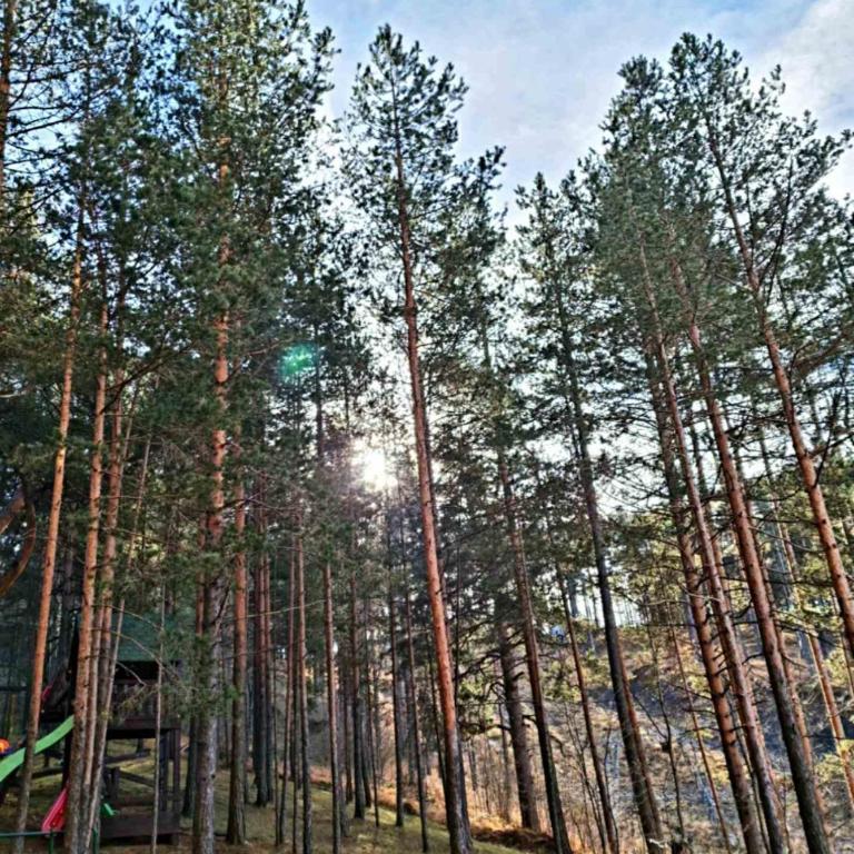 Lux apartman Zlatibor S14 - vila Peković - Two-Bedroom Apartment - 19