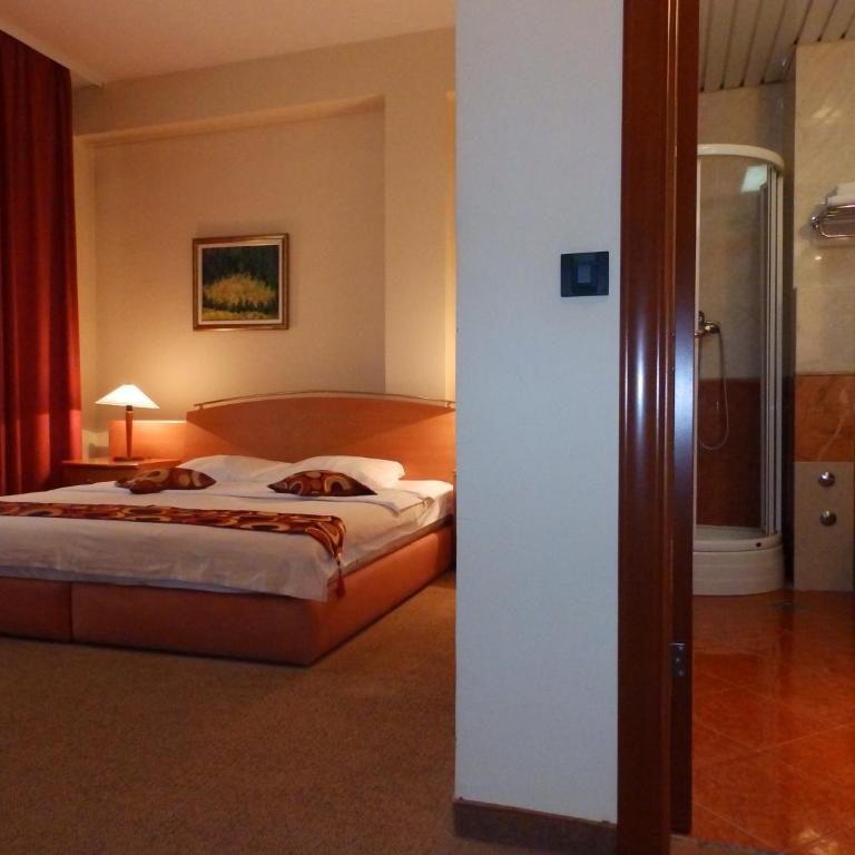 Hotel N - Superior Dvokrevetna Soba sa Bračnim Krevetom - 5