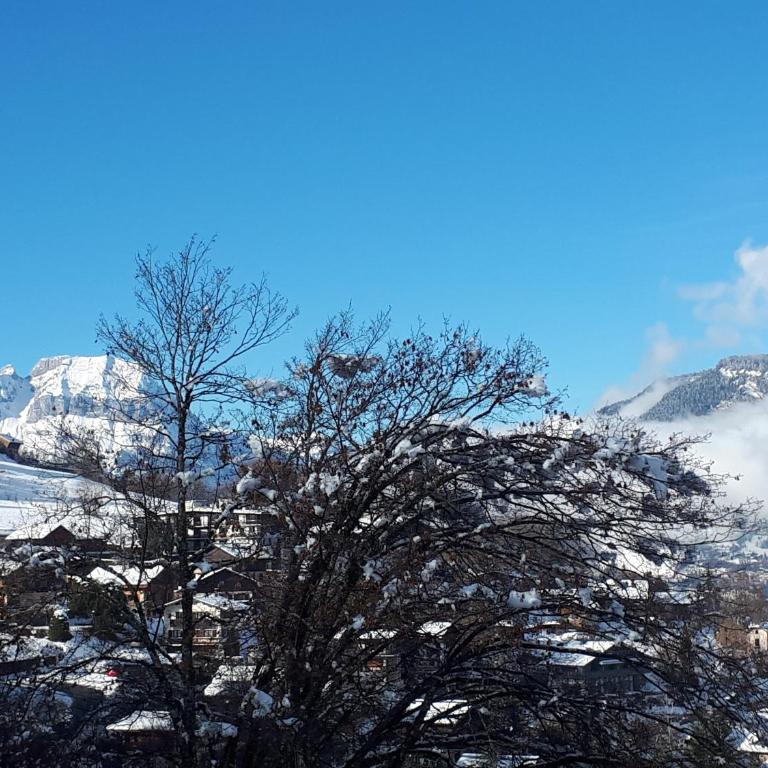 Duplex 6 pers, garage, WIFI, calme, proche des pistes, vue magnifique - Appartement 2 Chambres - 44