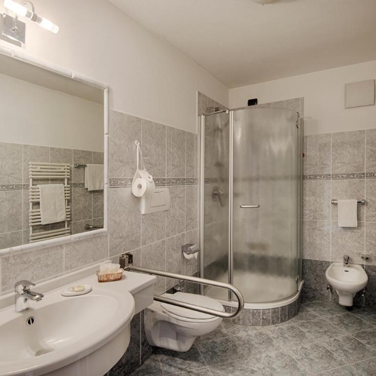 Hotel Garni Elisir - Camera Matrimoniale/Doppia con Letti Singoli con Accesso Spa - 7