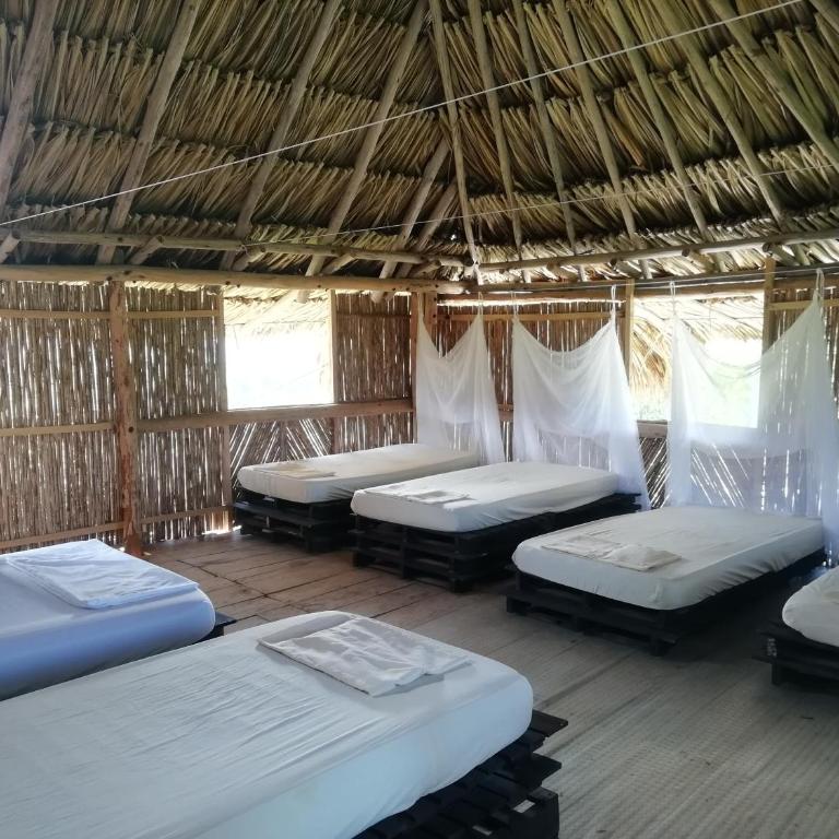Moon Wind Tayrona Hostel - Habitación Familiar - 5