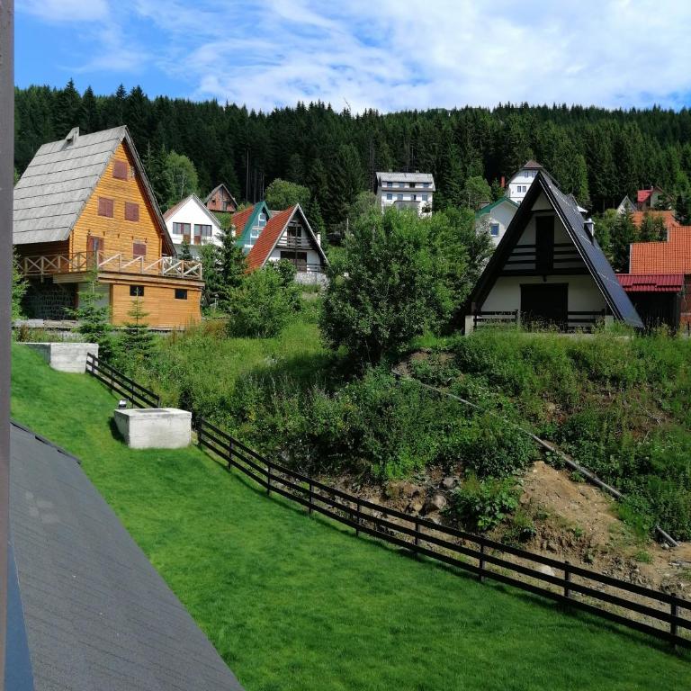 Vila Irina Kopaonik - Apartman Jovana - One-Bedroom Apartment - 12