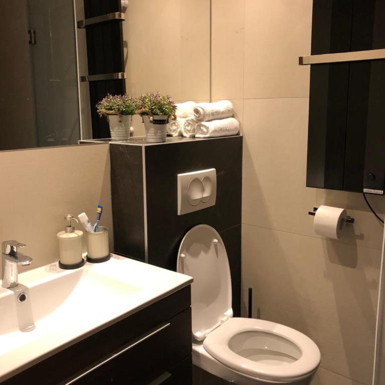 Vila Irina Kopaonik - Apartman Jovana - One-Bedroom Apartment - 3