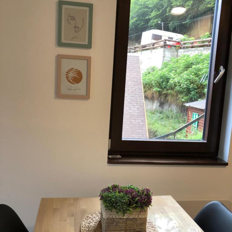 Vila Irina Kopaonik - Apartman Jovana - One-Bedroom Apartment - 16