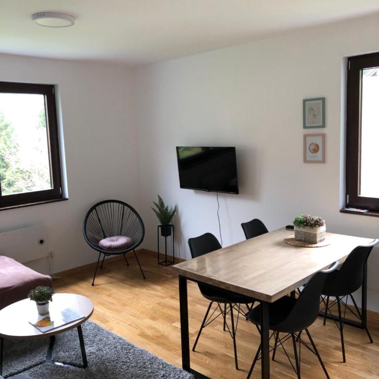 Vila Irina Kopaonik - Apartman Jovana - One-Bedroom Apartment - 11