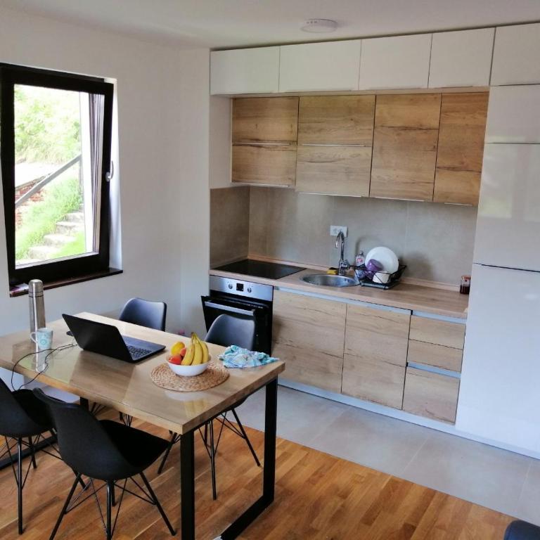 Vila Irina Kopaonik - Apartman Jovana - One-Bedroom Apartment - 4