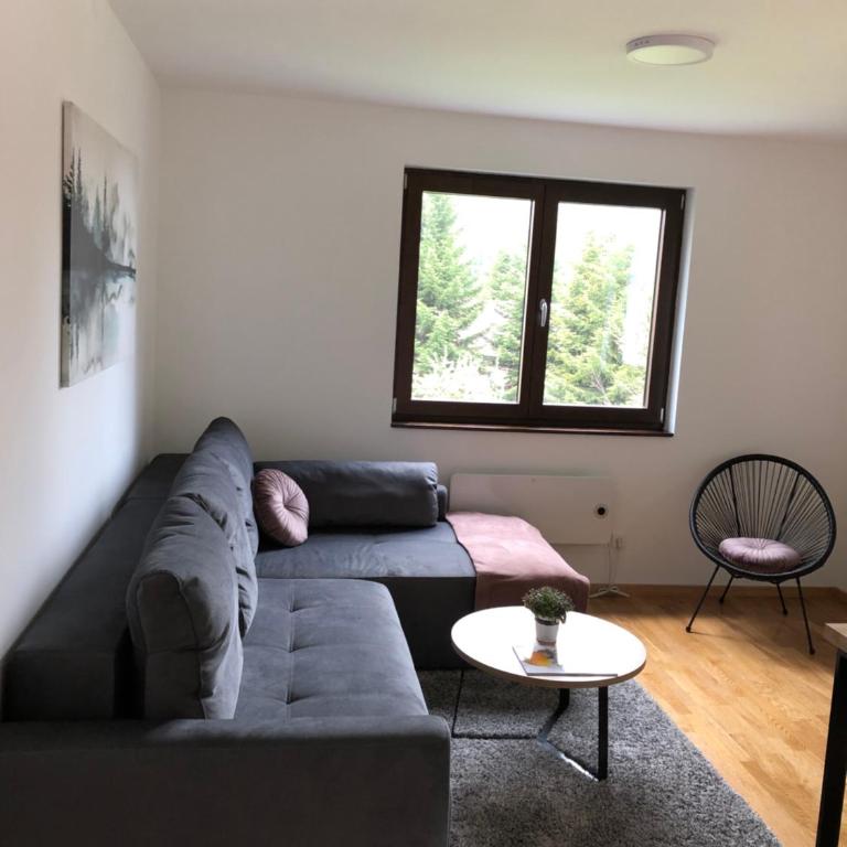 Vila Irina Kopaonik - Apartman Jovana - One-Bedroom Apartment - 15