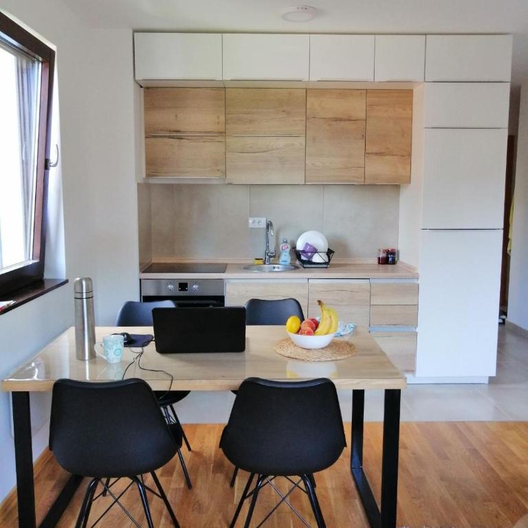 Vila Irina Kopaonik - Apartman Jovana - One-Bedroom Apartment - 17