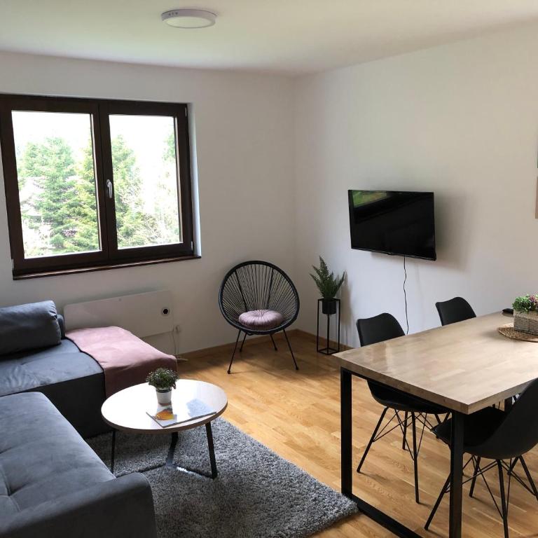 Vila Irina Kopaonik - Apartman Jovana - One-Bedroom Apartment - 2