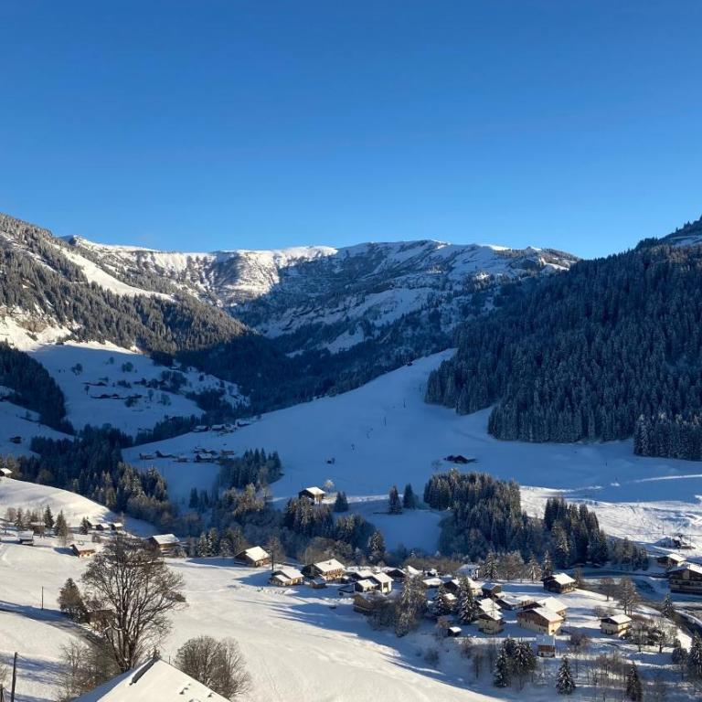Demi Chalet Le LACHAT - Appartement 3 Chambres - 34