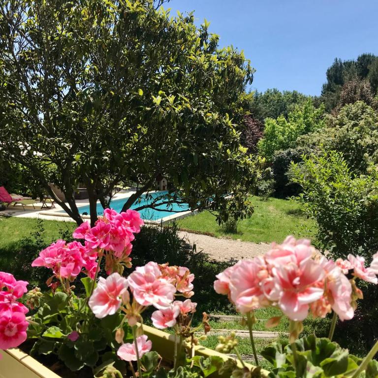 La belle histoire Gîte Ventoux - Studio avec Vue sur Jardin - 27