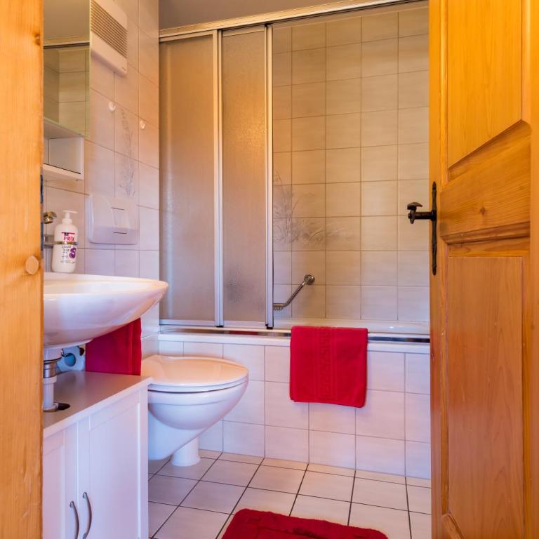 Haus Südlenz - Standard Apartment - 9