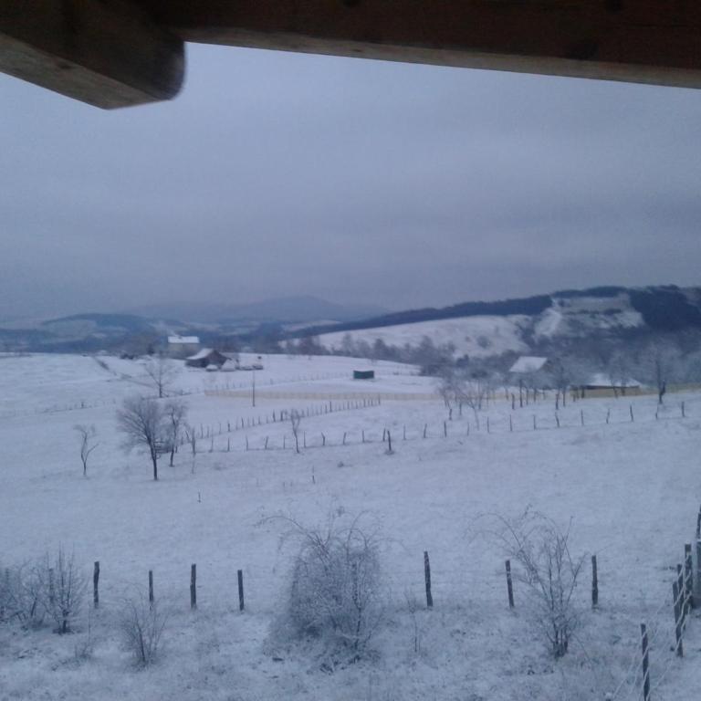 Ruza vetrova - Kuća sa 1 Spavaćom Sobom - 26