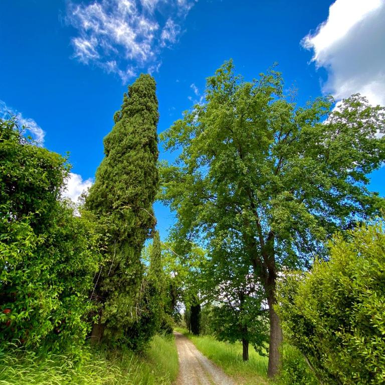 Palazzo del Papa Country Suites - Appartamento Superior - 50
