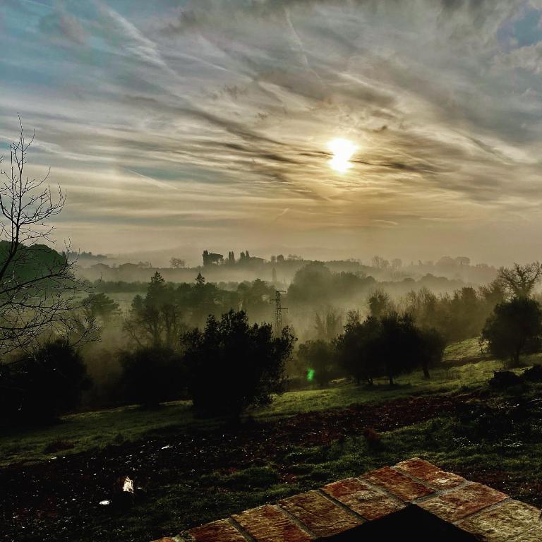 Palazzo del Papa Country Suites - Appartamento Superior - 57