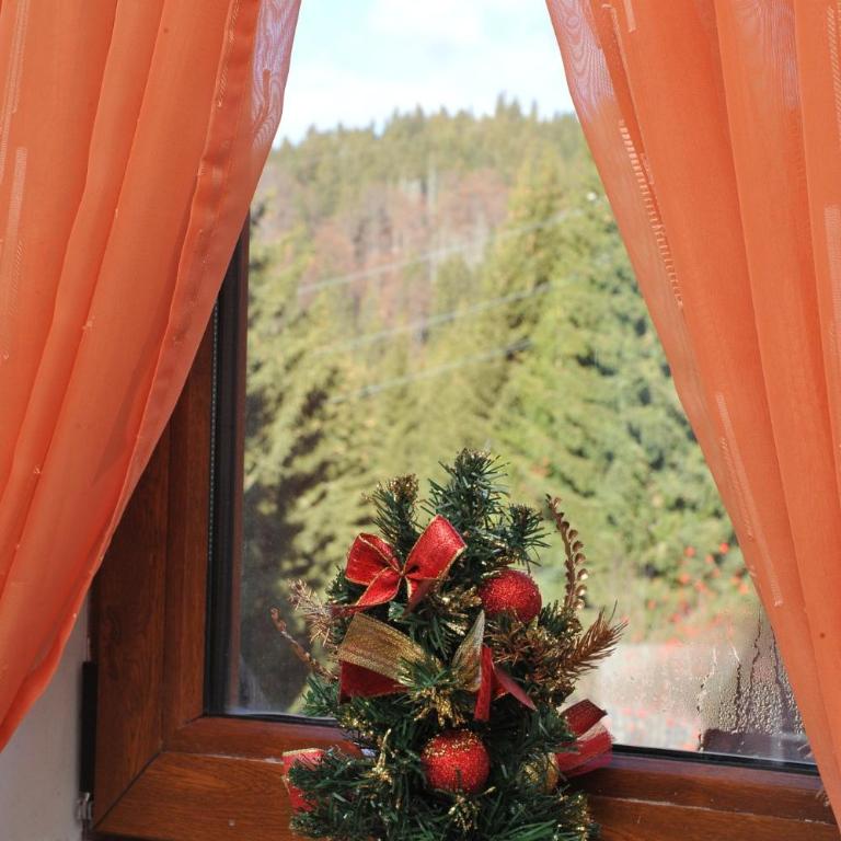 Apartmani Pavlović - Apartman sa Pogledom na Planinu - 5