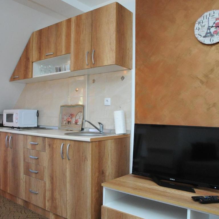 Apartmani Pavlović - Apartman sa Pogledom na Planinu - 7
