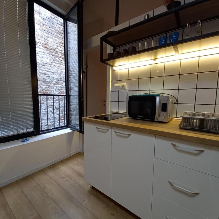 Brickloft in the heart of Belgrade - Apartman sa 1 Spavaćom Sobom - 5