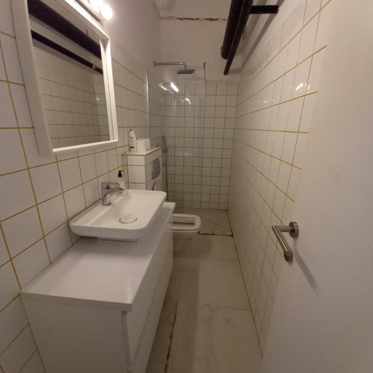 Brickloft in the heart of Belgrade - Apartman sa 1 Spavaćom Sobom - 6