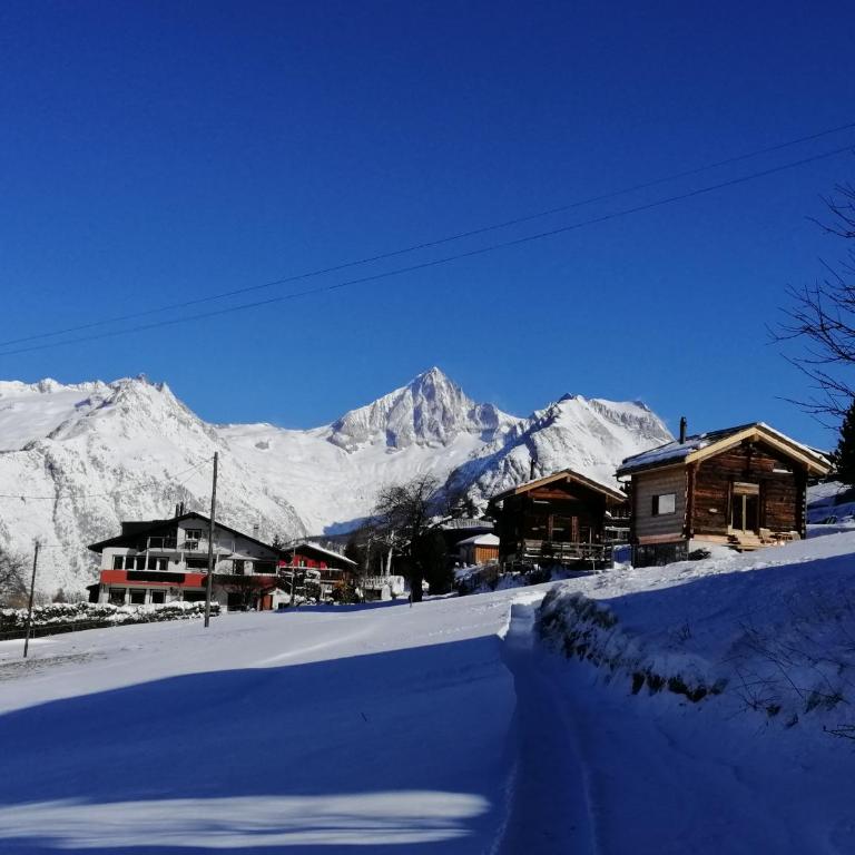 "forno one" - Bürchen Moosalp - Chalet mit 1 Schlafzimmer - 3