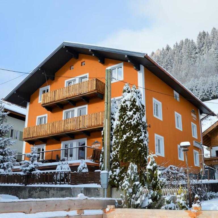 Aparthotel Pinzgau - Apartment mit Balkon - 2