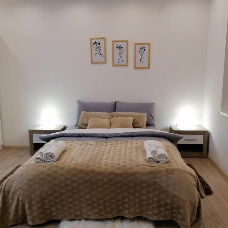 Apartman Sofi LUX - One-Bedroom Apartment - 8