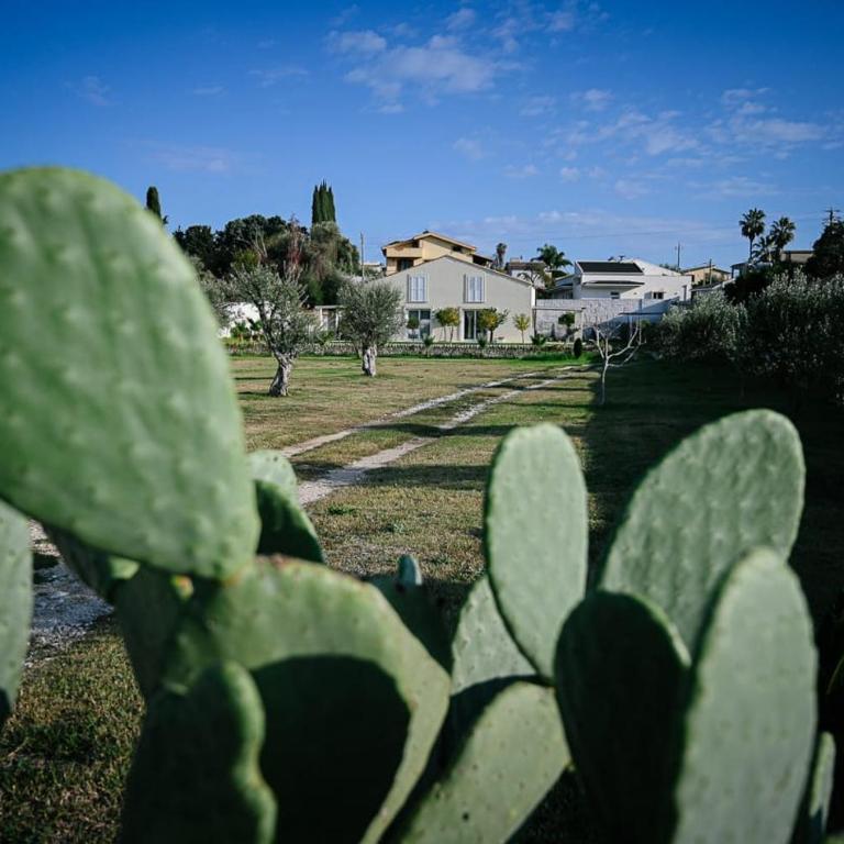 La Bouganville - Villa con Vista Giardino - 32