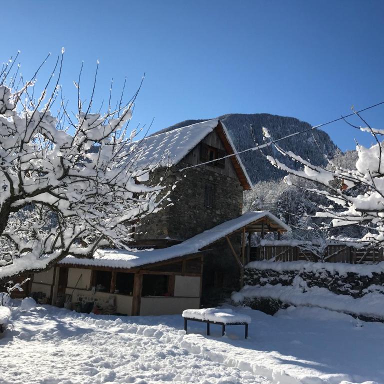 La Cérisole - Appartement - Vue sur Jardin - 5