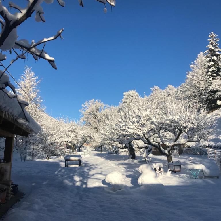 La Cérisole - Appartement - Vue sur Jardin - 30
