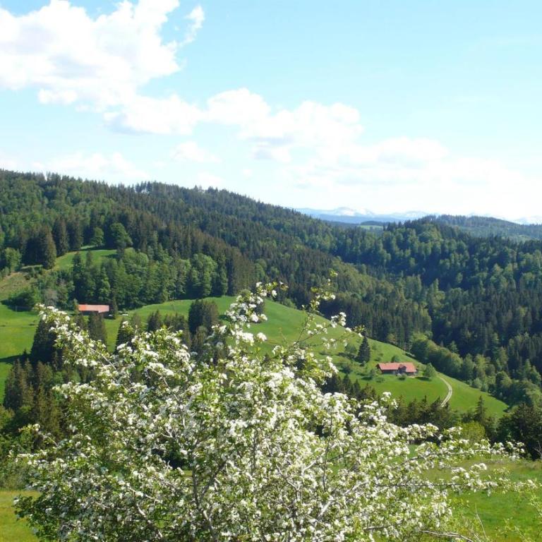 Ferienwohnung Wild - Apartment mit 2 Schlafzimmern - 17