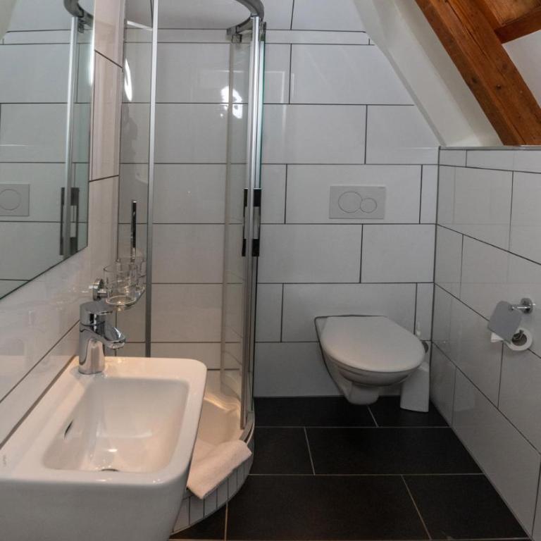 Swiss Inn & Apartments - Double Room - 5