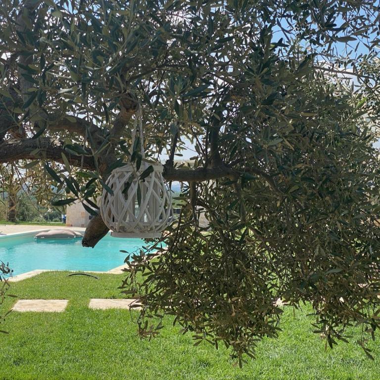 Tenuta Lamia degli Ulivi - Ostuni Puglia - Ancient Lamia and Modern Villa - Villa - 72