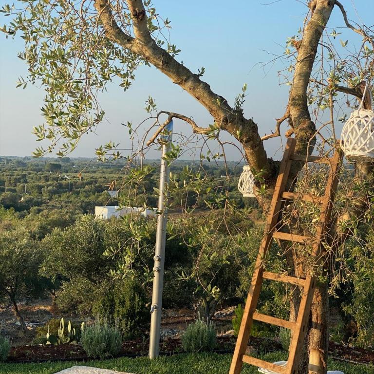 Tenuta Lamia degli Ulivi - Ostuni Puglia - Ancient Lamia and Modern Villa - Villa - 59