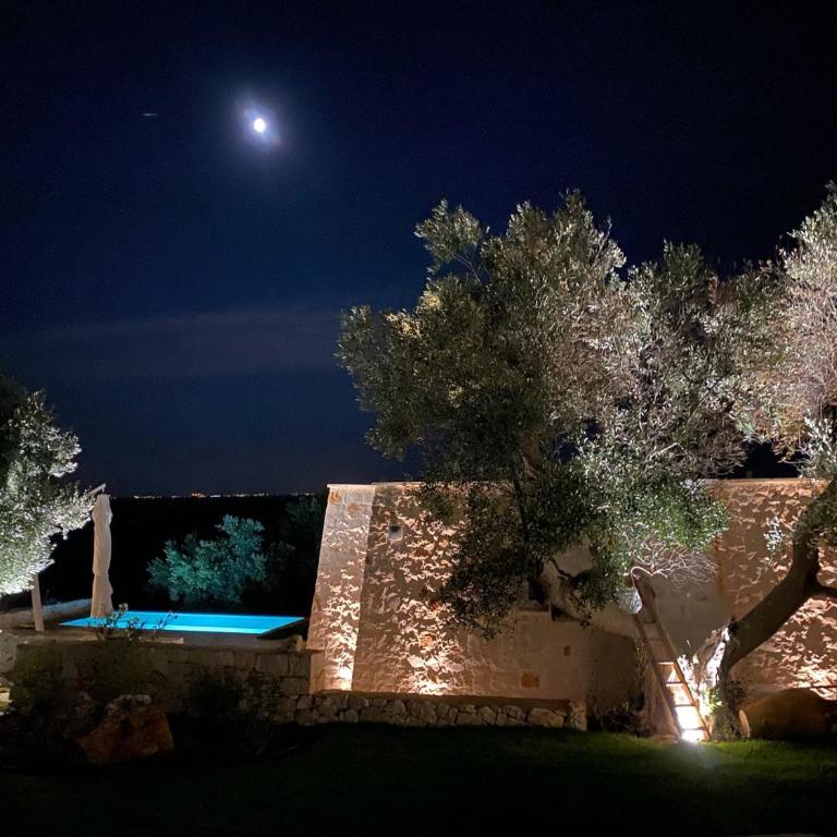 Tenuta Lamia degli Ulivi - Ostuni Puglia - Ancient Lamia and Modern Villa - Villa - 63