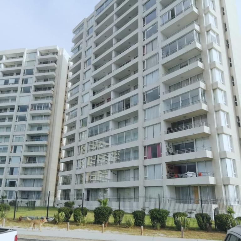 Comodo departamento frente al mar - Two-Bedroom Apartment - 14