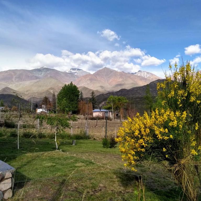 Los Coirones - Bungalow Estándar - 1