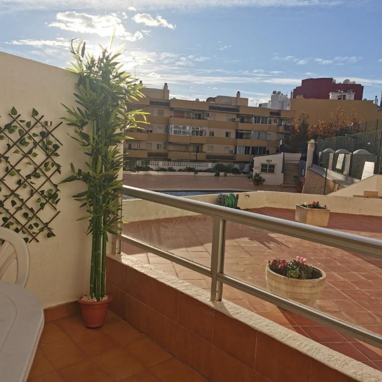 EDIFICIO APOLO 4 - Apartamento - Planta baja - 8