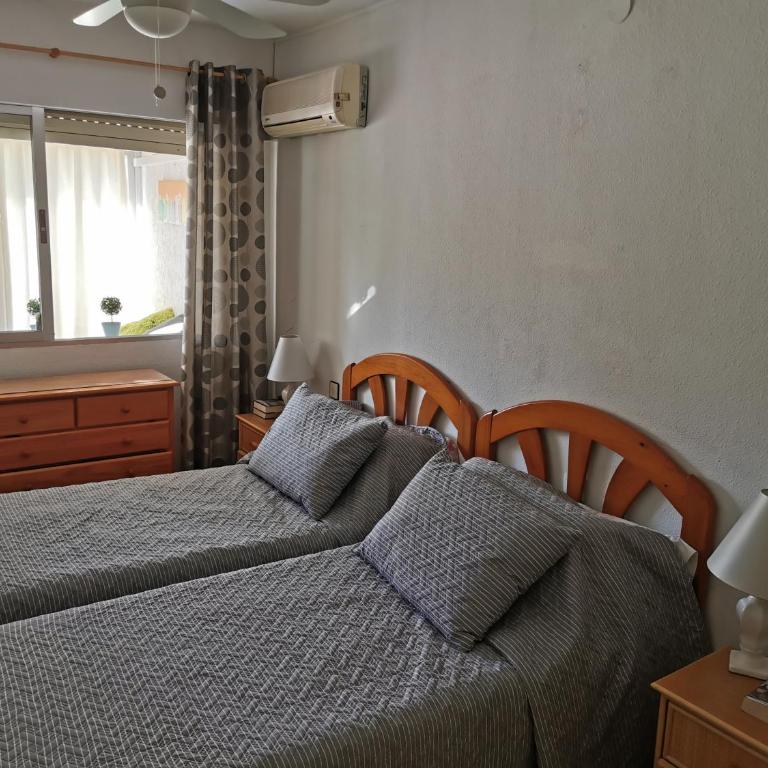 EDIFICIO APOLO 4 - Apartamento - Planta baja - 20