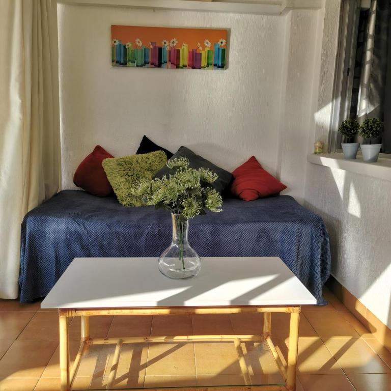 EDIFICIO APOLO 4 - Apartamento - Planta baja - 21