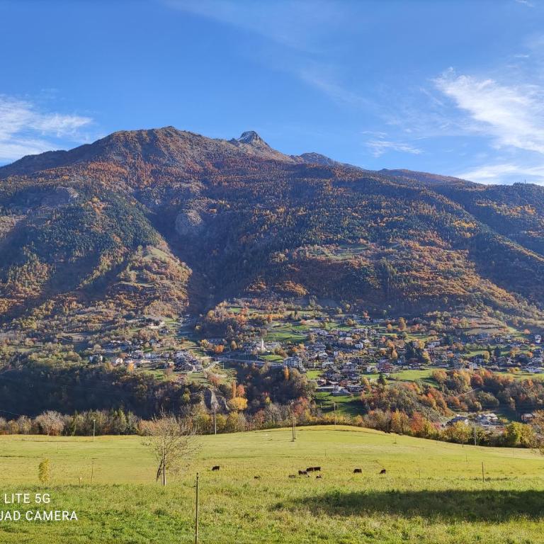 Appartamento con vista chez Mary - Appartamento con 1 Camera da Letto - 2