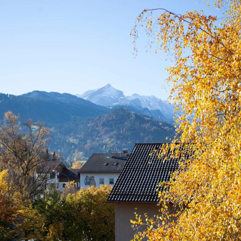 Olympia - Appartement avec Vue sur la Montagne - 5