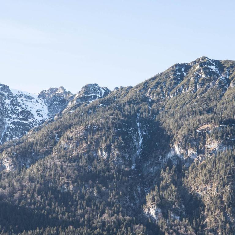 Bergluft - Appartamento con Vista Montagna - 50