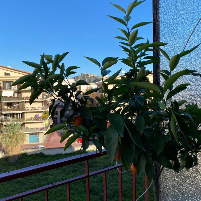 ViCo HomeSuite - Appartamento Attico - 17