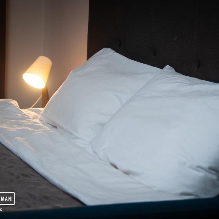 Apartmani Džanković - Family Studio - 4