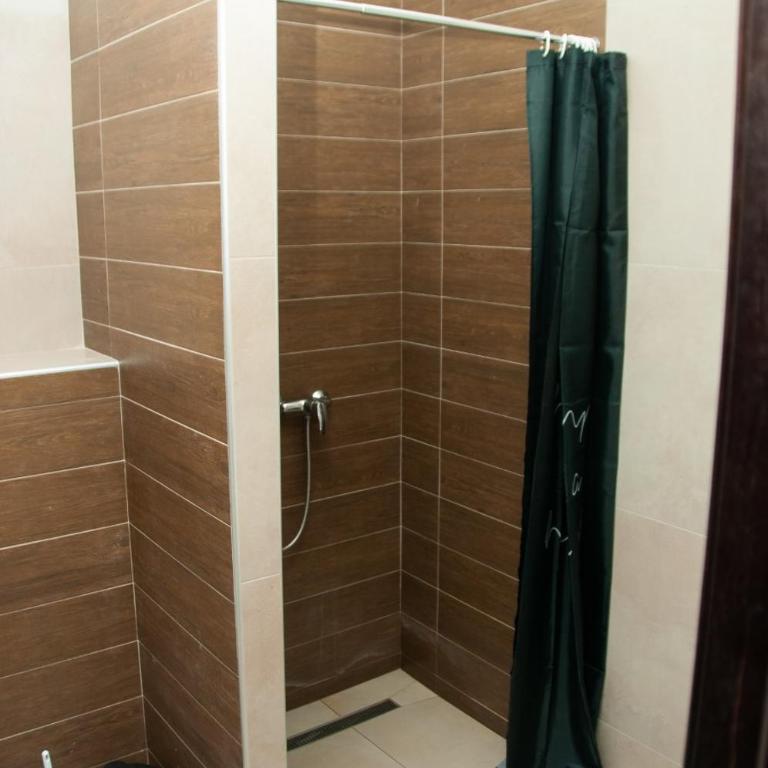Apartmani Džanković - Family Studio - 10