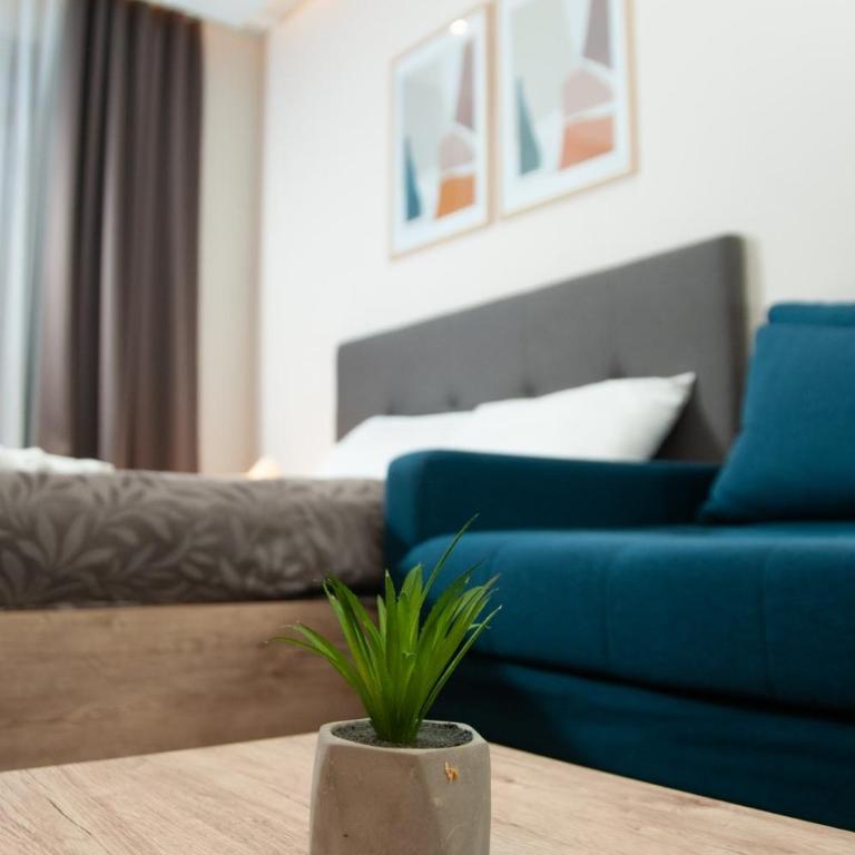Apartmani Džanković - Family Studio - 15