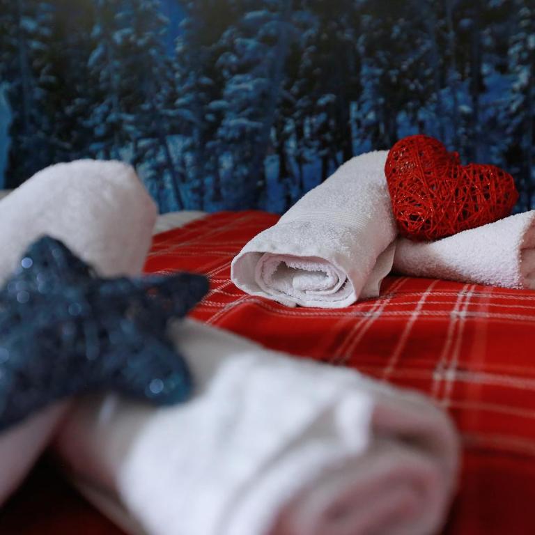 Apartman KUTAK Jahorina - Apartman sa 1 Spavaćom Sobom - 10